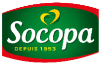 Socopa